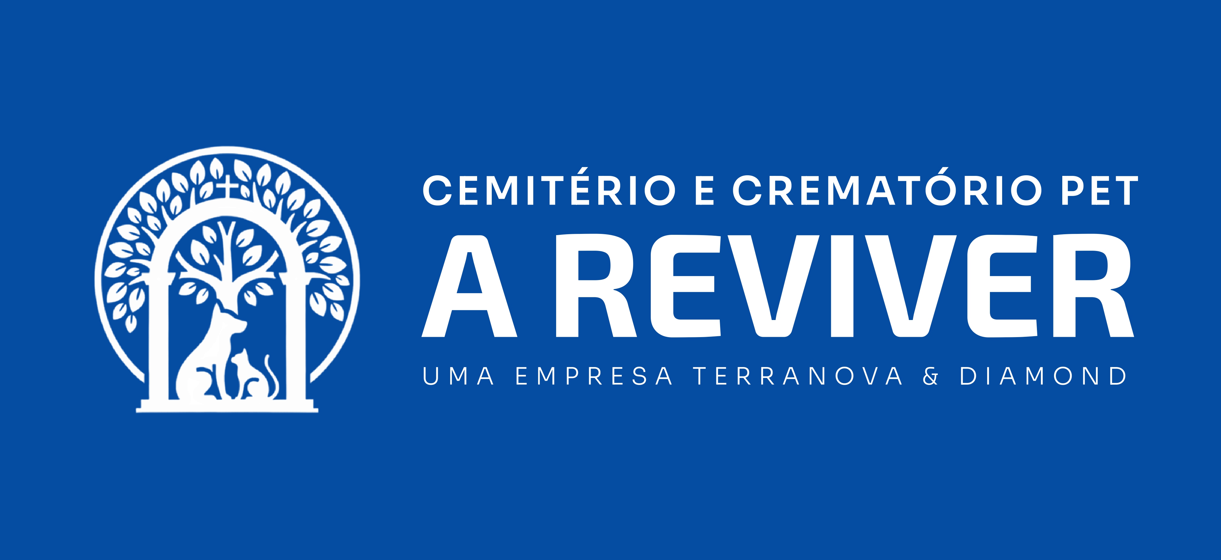 Logo RTD